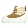UGG Men's Classic Mini Lace-Up Chestnut