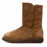 Ugg Abree II Chestnut