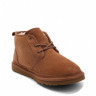 Ugg Mens Neumel Chestnut New