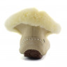 Ugg Alena Sand