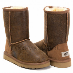 Ugg Classic Short Bomber Jacket Chestnut