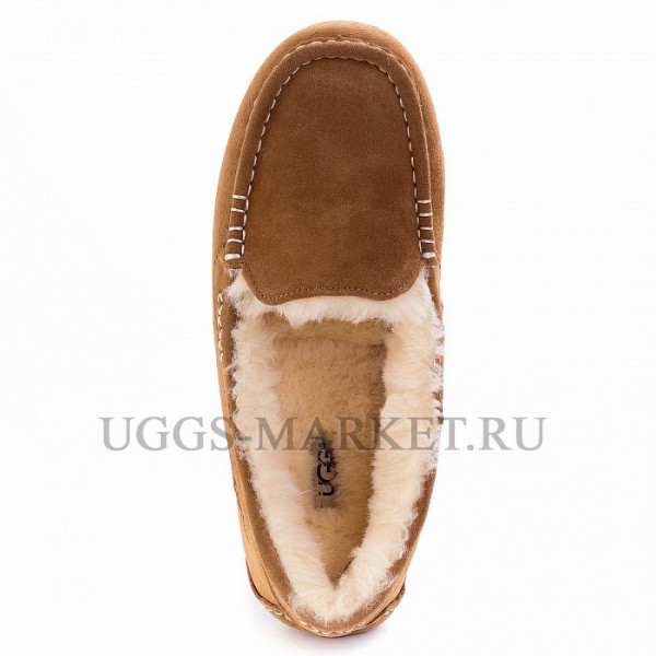 Ugg Ansley Chestnut