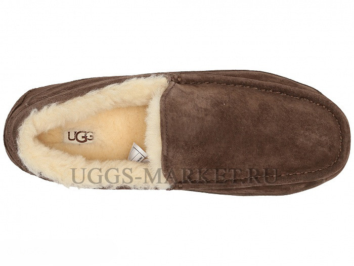 Ugg Mens Ascot Chocolate