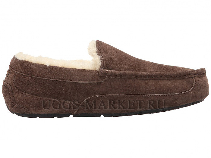 Ugg Mens Ascot Chocolate