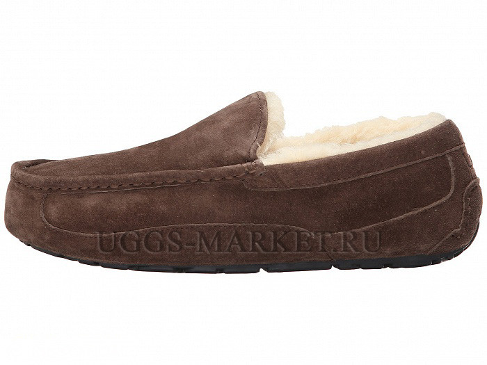 Ugg Mens Ascot Chocolate