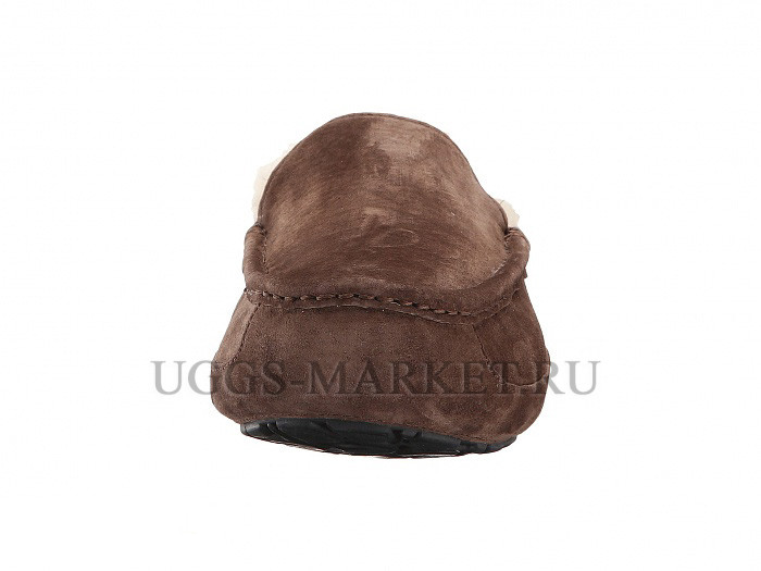 Ugg Mens Ascot Chocolate