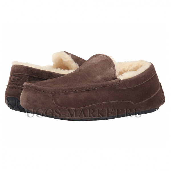 Ugg Mens Ascot Chocolate