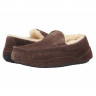 Ugg Mens Ascot Chocolate