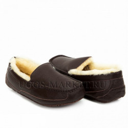 Ugg Mens Ascot Leather Chocolate