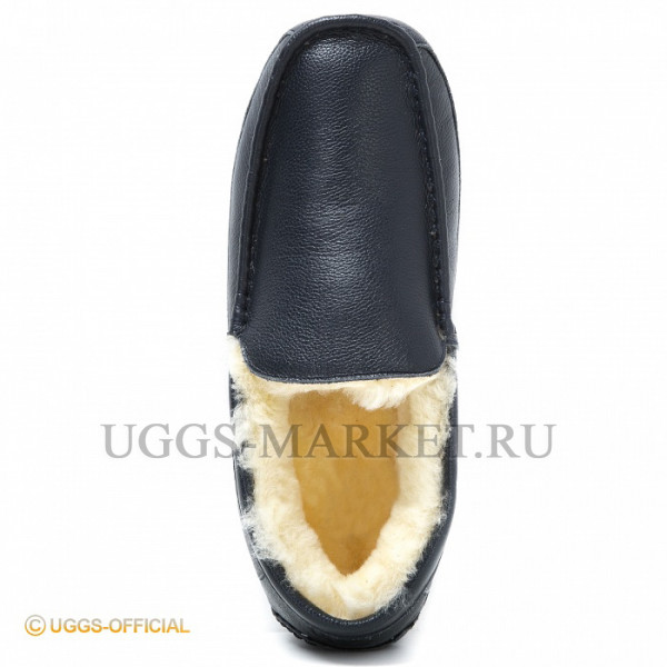 Ugg Mens Ascot Leather Navy