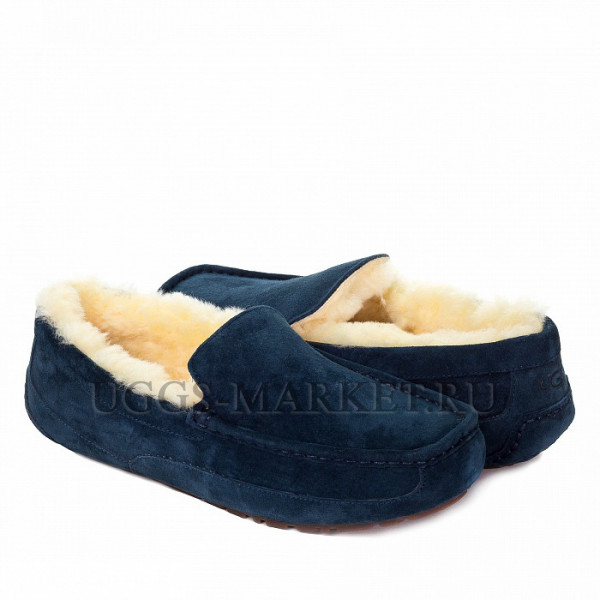 Ugg Mens Ascot Navy