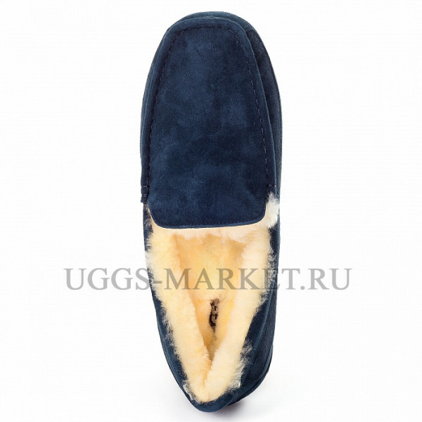 Ugg Mens Ascot Navy