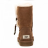 Ugg Azalea Chestnut