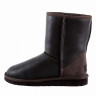 Ugg Classic Short Metallic Chocolate