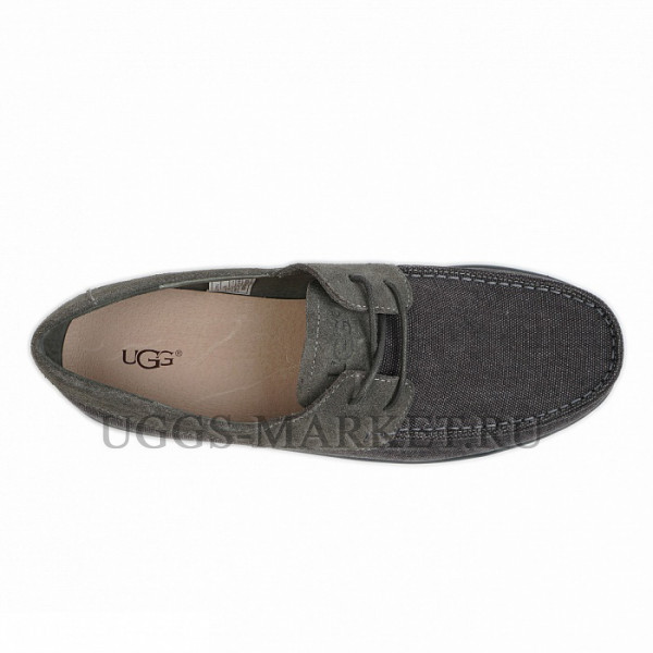 Ugg Mens Catton Canvas Grey