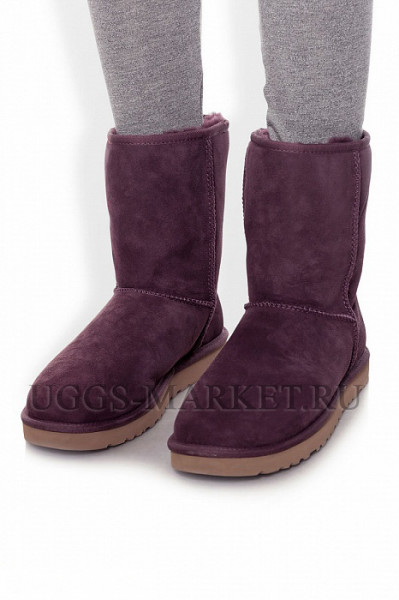 Ugg Classic Short Purple