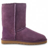 Ugg Classic Short Purple