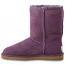 Ugg Classic Short Purple