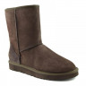 Ugg Mens Classic Short II Сhocolate