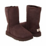 Ugg Mens Classic Short II Сhocolate